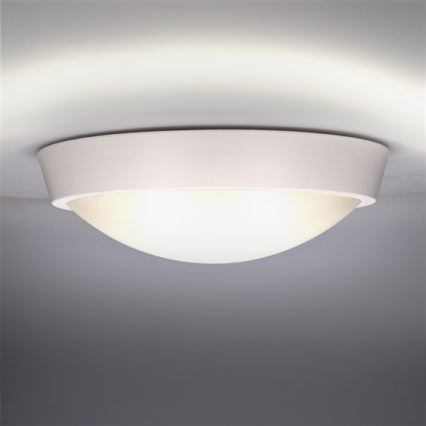 LED Outdoor ceiling light 1xLED/18W/230V  IP65