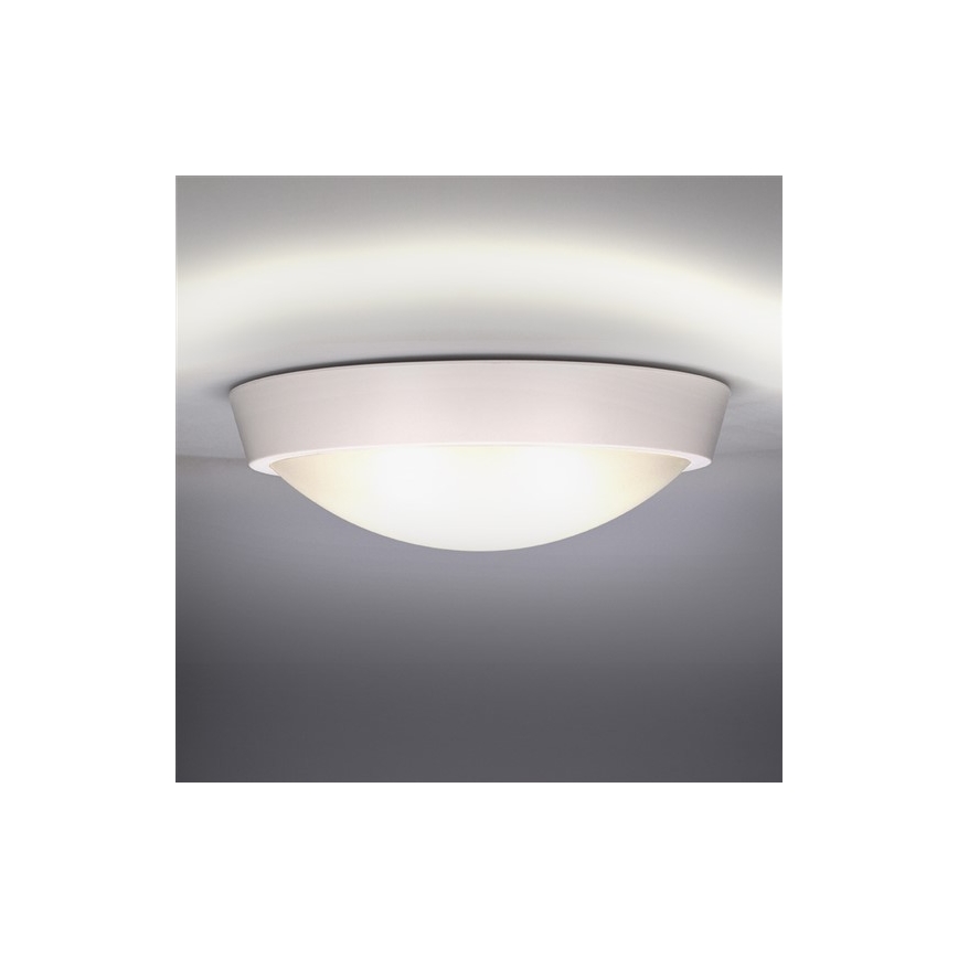 LED Outdoor ceiling light 1xLED/18W/230V  IP65