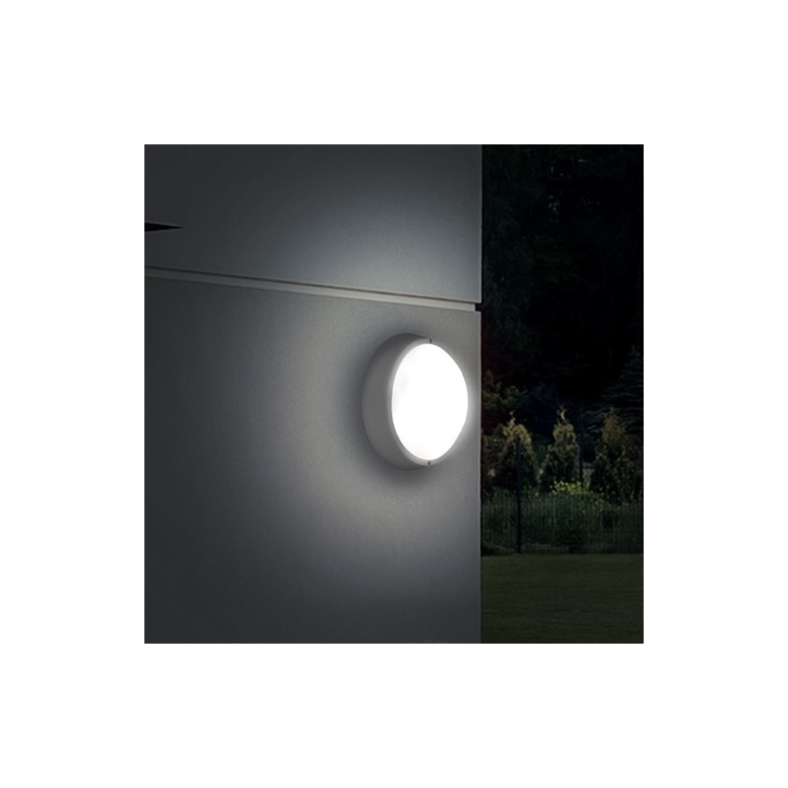 LED Outdoor ceiling light 1xLED/18W/230V  IP65