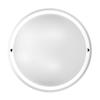 LED Outdoor ceiling light 1xLED/30W/230V  IP65