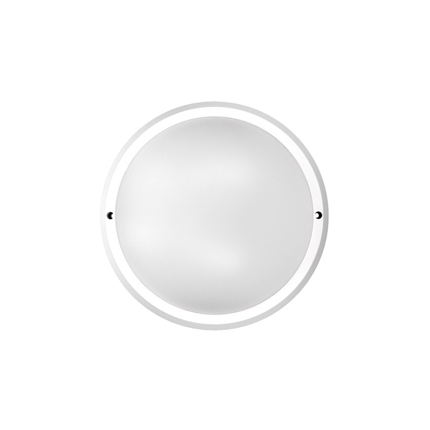 LED Outdoor ceiling light 1xLED/30W/230V  IP65