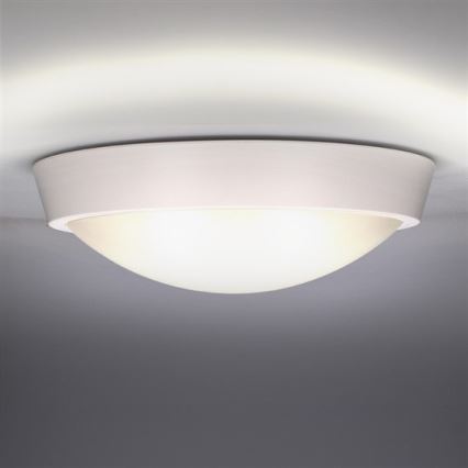 LED Outdoor ceiling light 1xLED/30W/230V  IP65