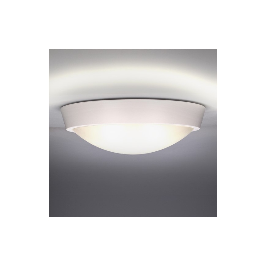 LED Outdoor ceiling light 1xLED/30W/230V  IP65