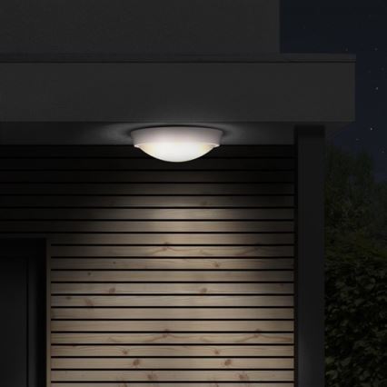LED Outdoor ceiling light 1xLED/30W/230V  IP65