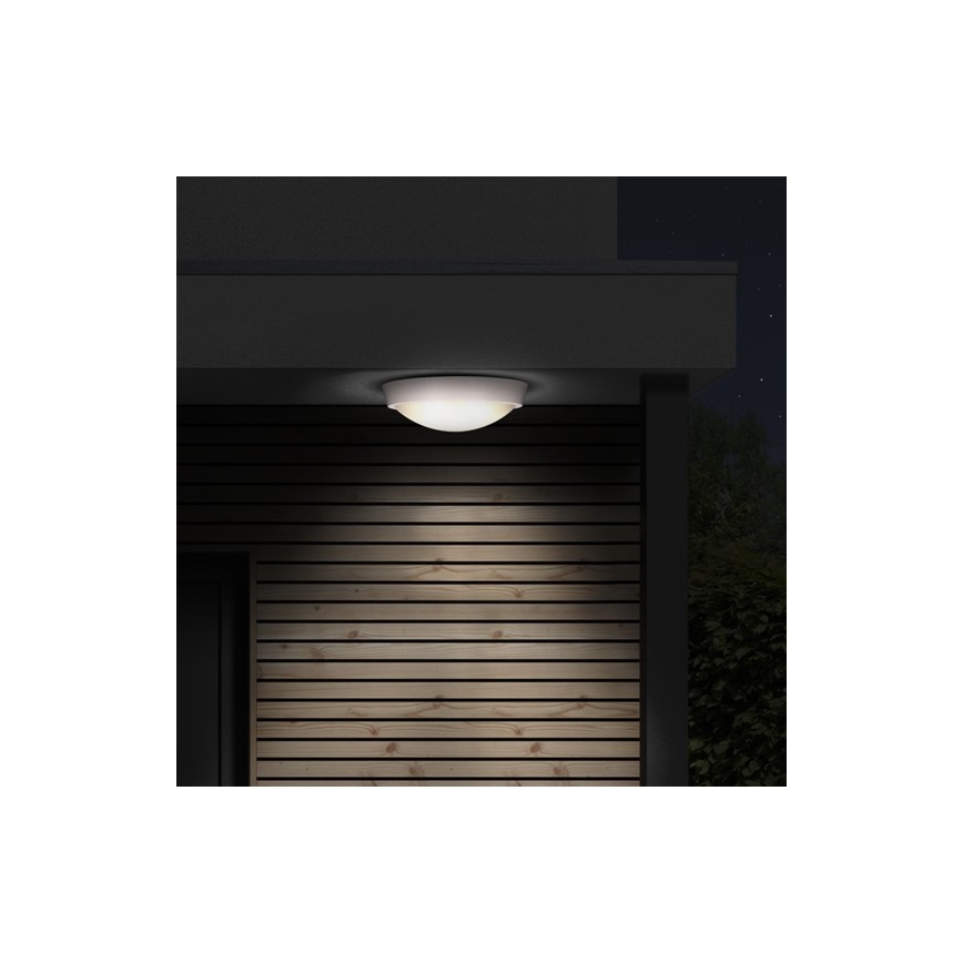 LED Outdoor ceiling light 1xLED/30W/230V  IP65
