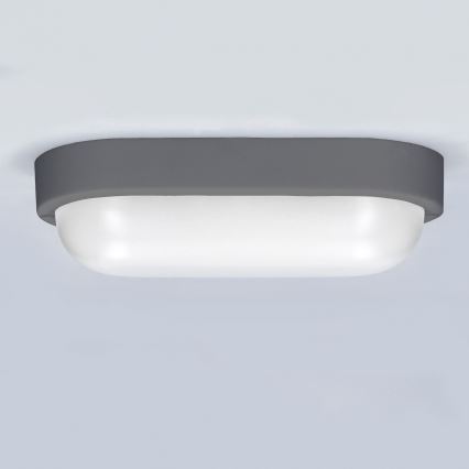 LED Outdoor wall light LED/13W/230V 4000K IP54 grey oval
