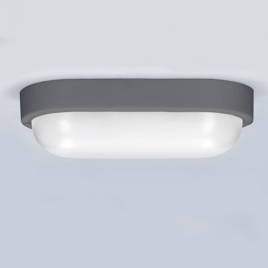 LED Outdoor wall light LED/13W/230V 4000K IP54 grey oval