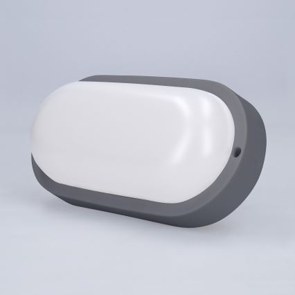 LED Outdoor wall light LED/13W/230V 4000K IP54 grey oval