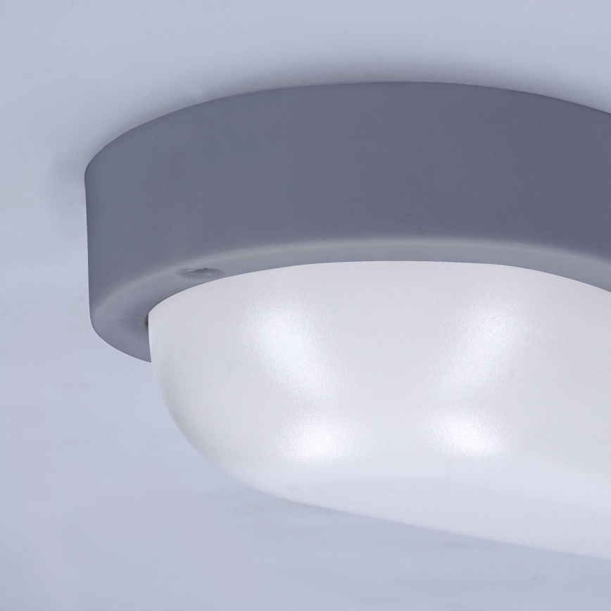 LED Outdoor wall light LED/13W/230V 4000K IP54 grey oval