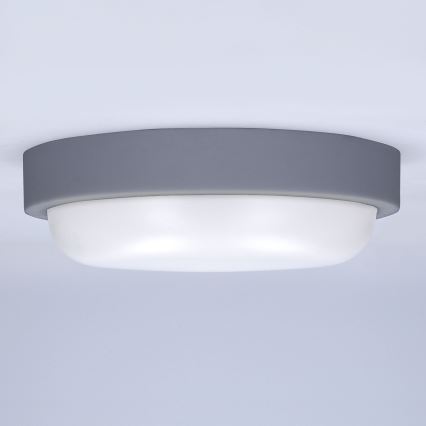 LED Outdoor wall light LED/13W/230V 4000K IP54 grey round