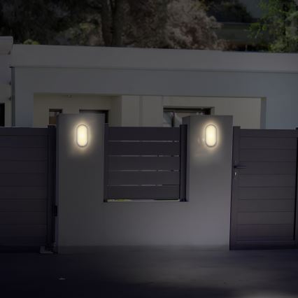 LED Outdoor wall light LED/20W/230V 4000K IP54 grey oval
