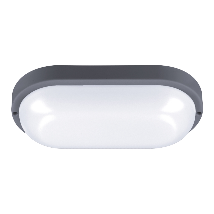 LED Outdoor wall light LED/20W/230V 4000K IP54 grey oval