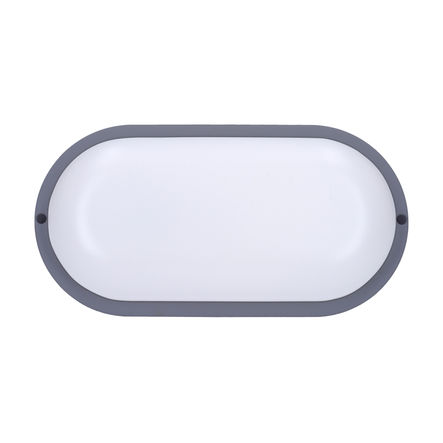 LED Outdoor wall light LED/20W/230V 4000K IP54 grey oval