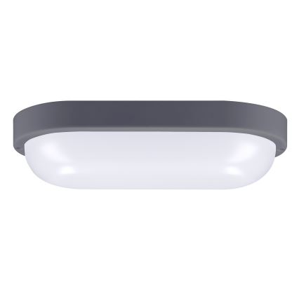 LED Outdoor wall light LED/20W/230V 4000K IP54 grey oval