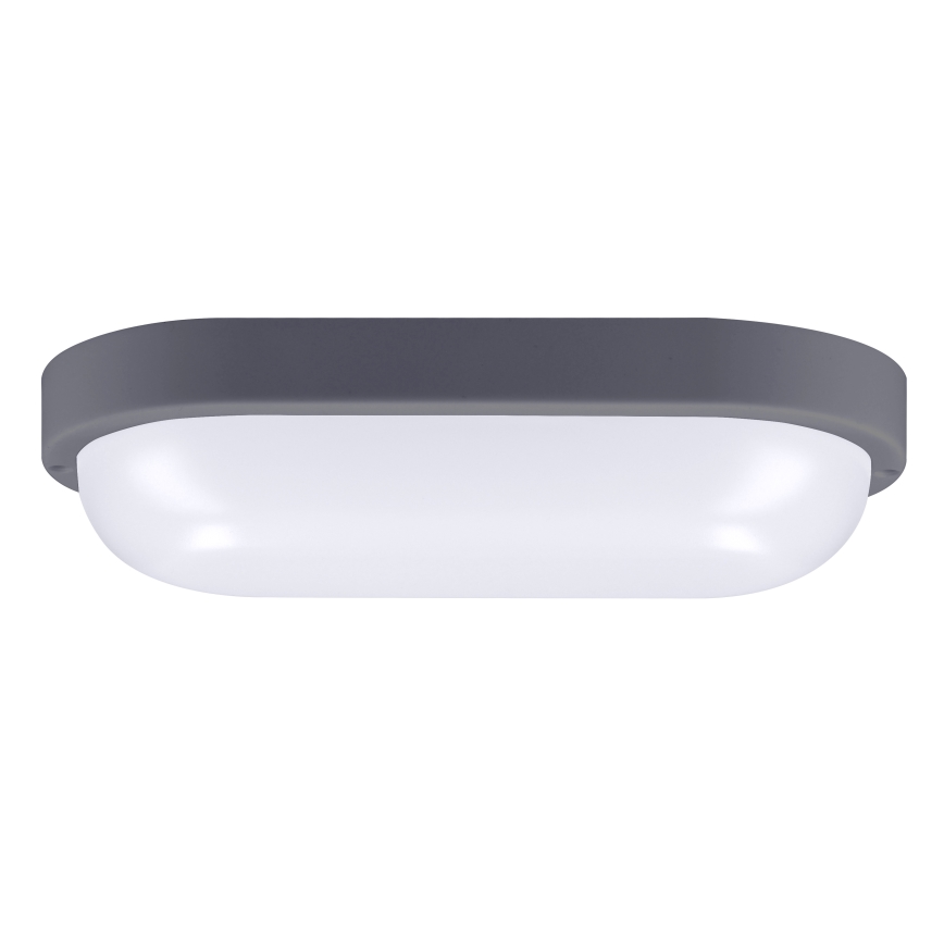 LED Outdoor wall light LED/20W/230V 4000K IP54 grey oval