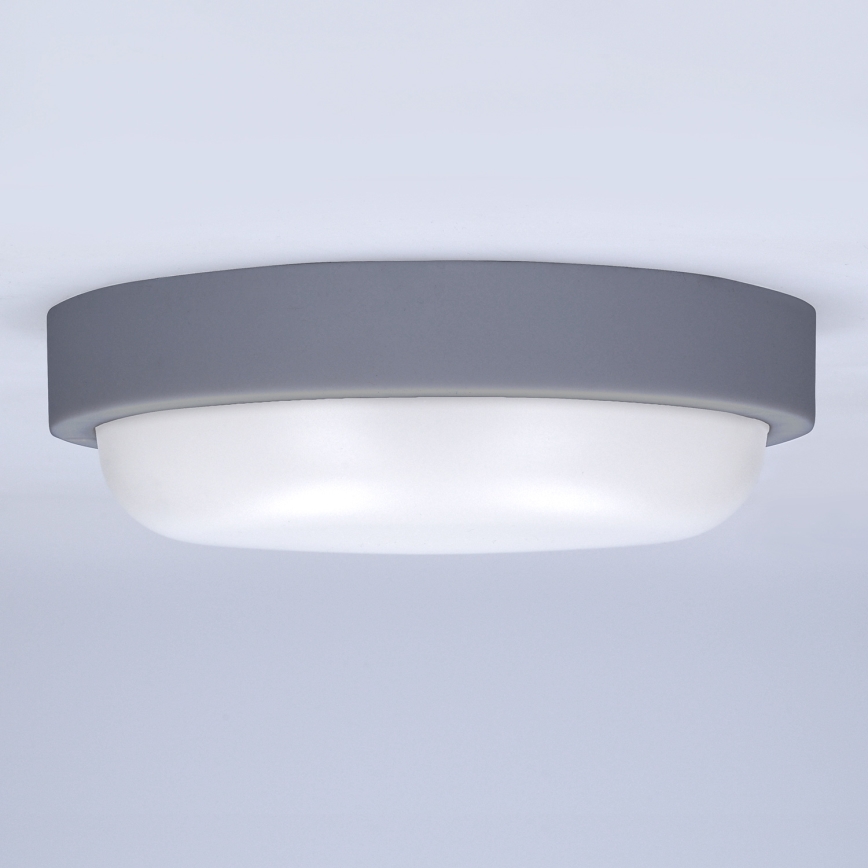 LED Outdoor wall light LED/20W/230V 4000K IP54 grey round