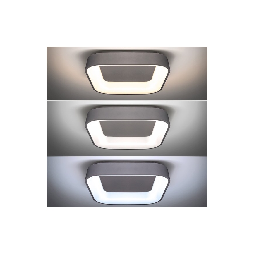 LED Dimmable ceiling light TREVISO LED/48W/230V + remote control