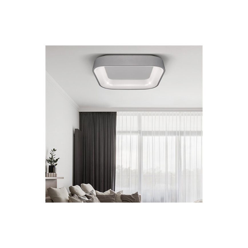LED Dimmable ceiling light TREVISO LED/48W/230V + remote control