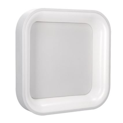 LED Dimming ceiling light LED/48W/230V + remote control