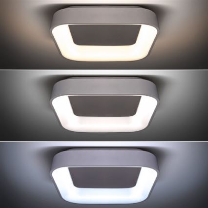 LED Dimming ceiling light LED/48W/230V + remote control