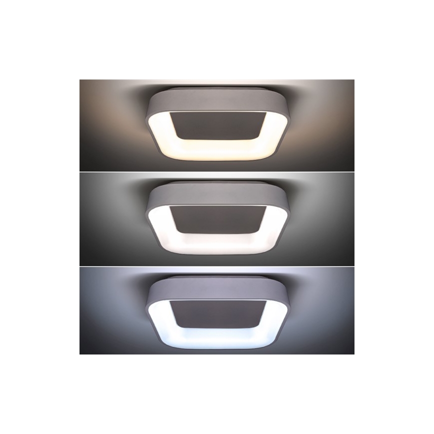 LED Dimming ceiling light LED/48W/230V + remote control