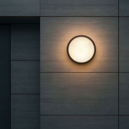 LED Outdoor Wall Light 2-in-1 LED/20W/230V 3000/4000/6500K IP65 Ø 22 cm