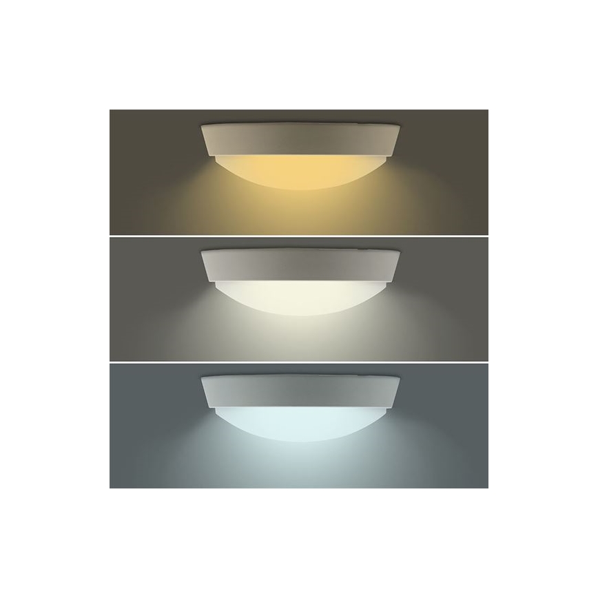 LED Outdoor Wall Light 2-in-1 LED/20W/230V 3000/4000/6500K IP65 Ø 22 cm