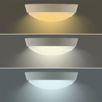 LED Outdoor Wall Light with 2-in-1 Sensor, 20W LED, 230V, Selectable 3000/4000/6500K, IP65, dia. 22 cm