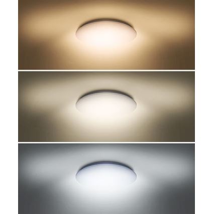 LED Ceiling light PLAIN LED/24W/230V 3000K/4000K/6000K round