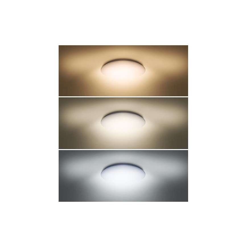 LED Ceiling light PLAIN LED/24W/230V 3000K/4000K/6000K round