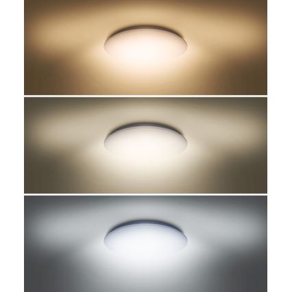 LED Ceiling light PLAIN LED/36W/230V 3000/4000/6000K round