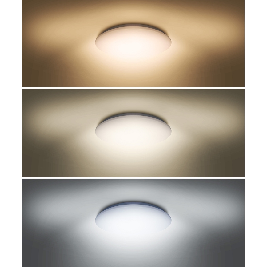 LED Ceiling light PLAIN LED/36W/230V 3000/4000/6000K round