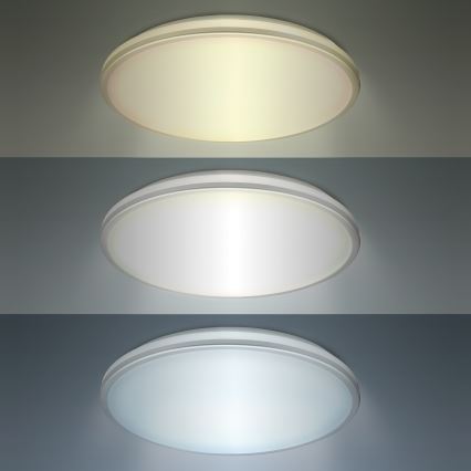 LED Bathroom ceiling light LED/18W/230V 3000/4000/6500K IP54