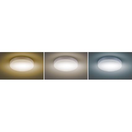 LED Dimmable ceiling light LED/50W/230V 3000-6000K + remote control