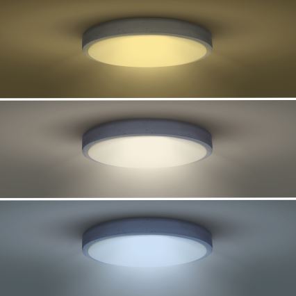 LED Dimmable ceiling light GREY LED/48W/230V 3000-6500K grey d. 38 cm + remote control