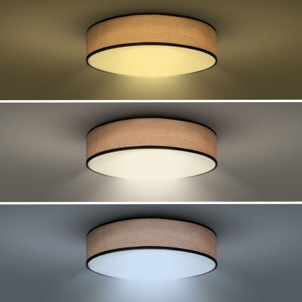 LED Dimmable ceiling light BROWNIE LED/48W/230V 3000-6500K brown d. 40 cm + remote control