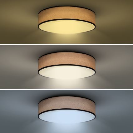 LED Dimmable ceiling light BROWNIE LED/60W/230V 3000-6500K brown d. 50 cm + remote control