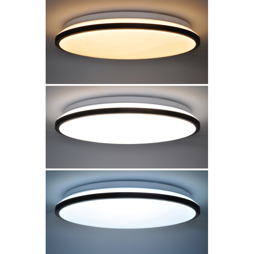 LED Dimmable ceiling light JAMIL LED/48W/230V 3000-6500K black + remote control
