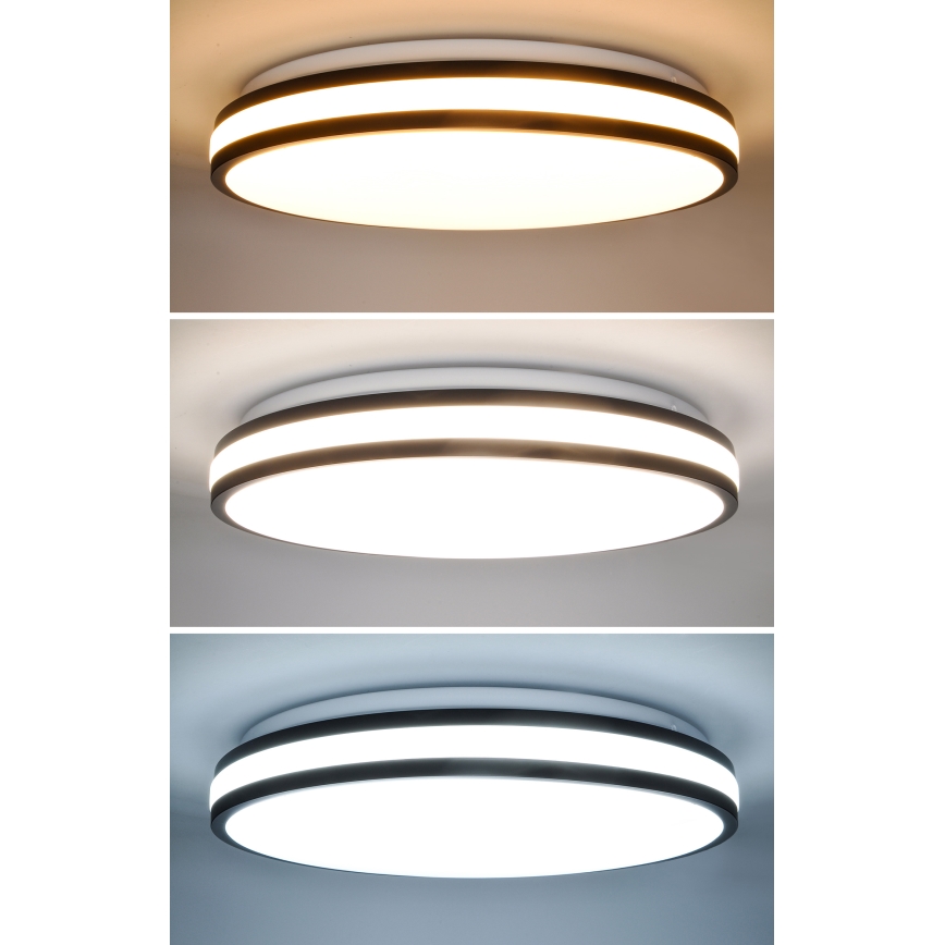LED Dimmable ceiling light LASKOS LED/48W/230V 3000-6500K black + remote control
