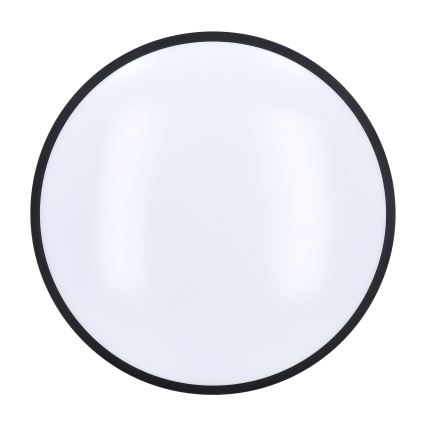 LED Dimmable ceiling light LASKOS LED/48W/230V 3000-6500K black + remote control