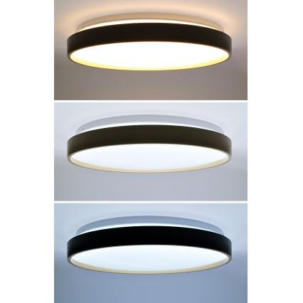 LED Dimmable ceiling light CALA LED/48W/230V 3000-6500K black/gold + remote control