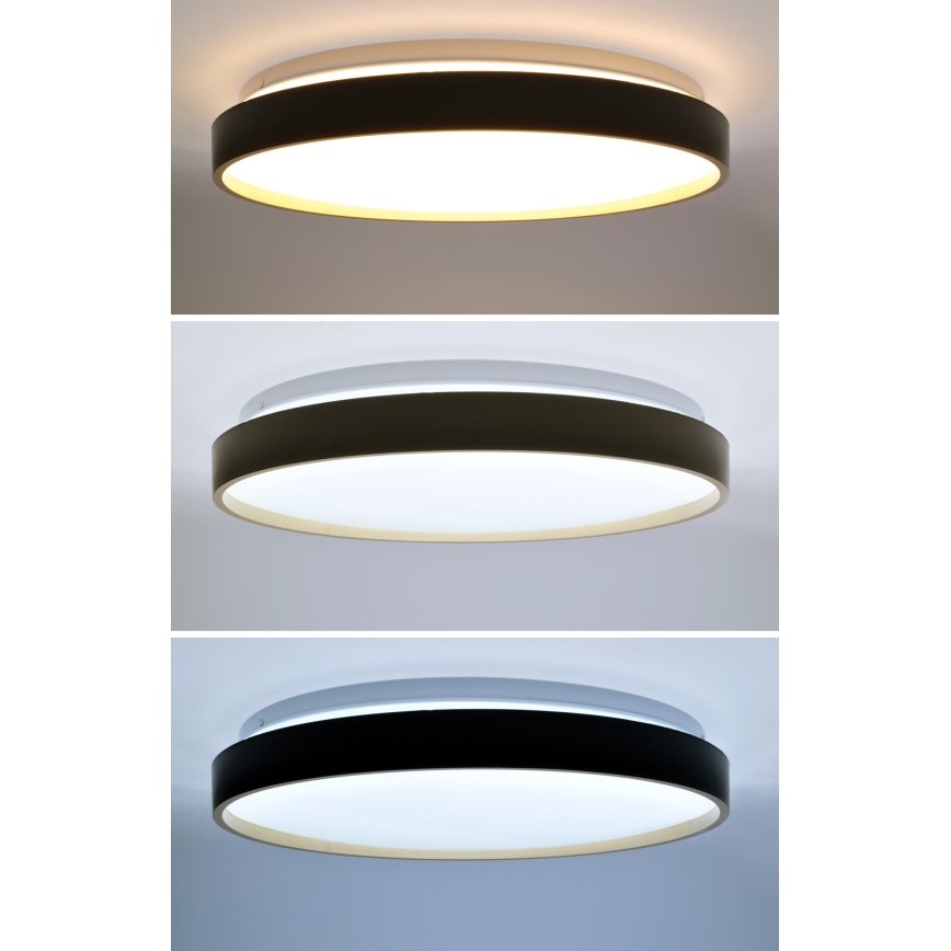 LED Dimmable ceiling light CALA LED/48W/230V 3000-6500K black/gold + remote control
