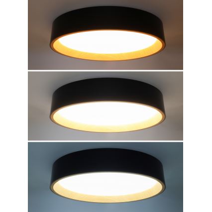 LED Dimmable ceiling light LARIOS LED/48W/230V 3000-6500K d. 39 cm black + remote control