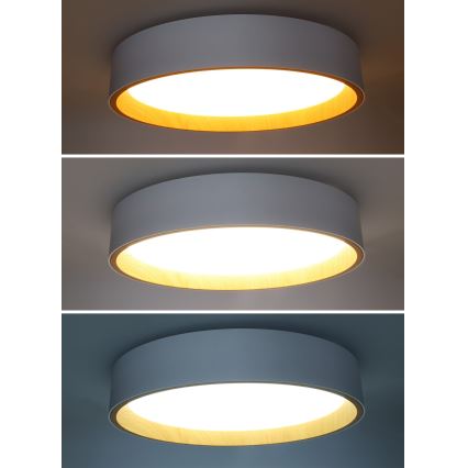 LED Dimmable ceiling light LARIOS LED/48W/230V 3000-6500K d. 39 cm white + remote control