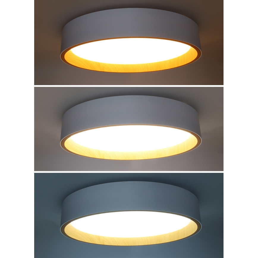 LED Dimmable ceiling light LARIOS LED/48W/230V 3000-6500K d. 39 cm white + remote control