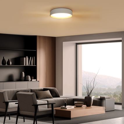 LED Dimmable ceiling light LARIOS LED/48W/230V 3000-6500K d. 39 cm white + remote control