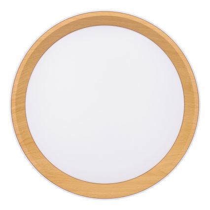 LED Dimmable ceiling light LARIOS LED/48W/230V 3000-6500K d. 39 cm white + remote control