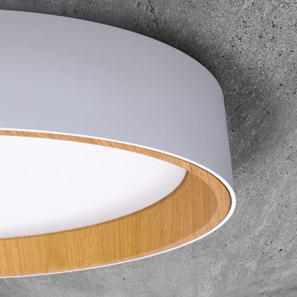 LED Dimmable ceiling light LARIOS LED/48W/230V 3000-6500K d. 39 cm white + remote control