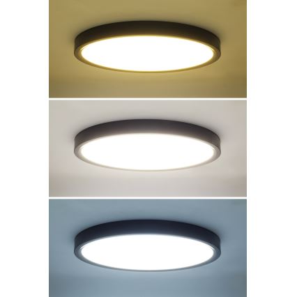 LED Dimmable ceiling light ESTELA LED/36W/230V d. 30 cm black + remote control
