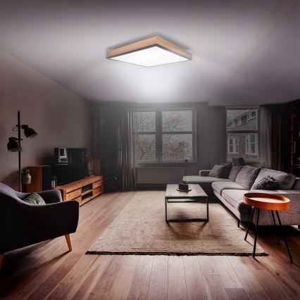 LED Dimmable ceiling light LED/40W/230V 3000-6500K + remote control